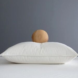 NWOT QUINCE Premium Down Alternative Pillow Firm/Extra King 9801